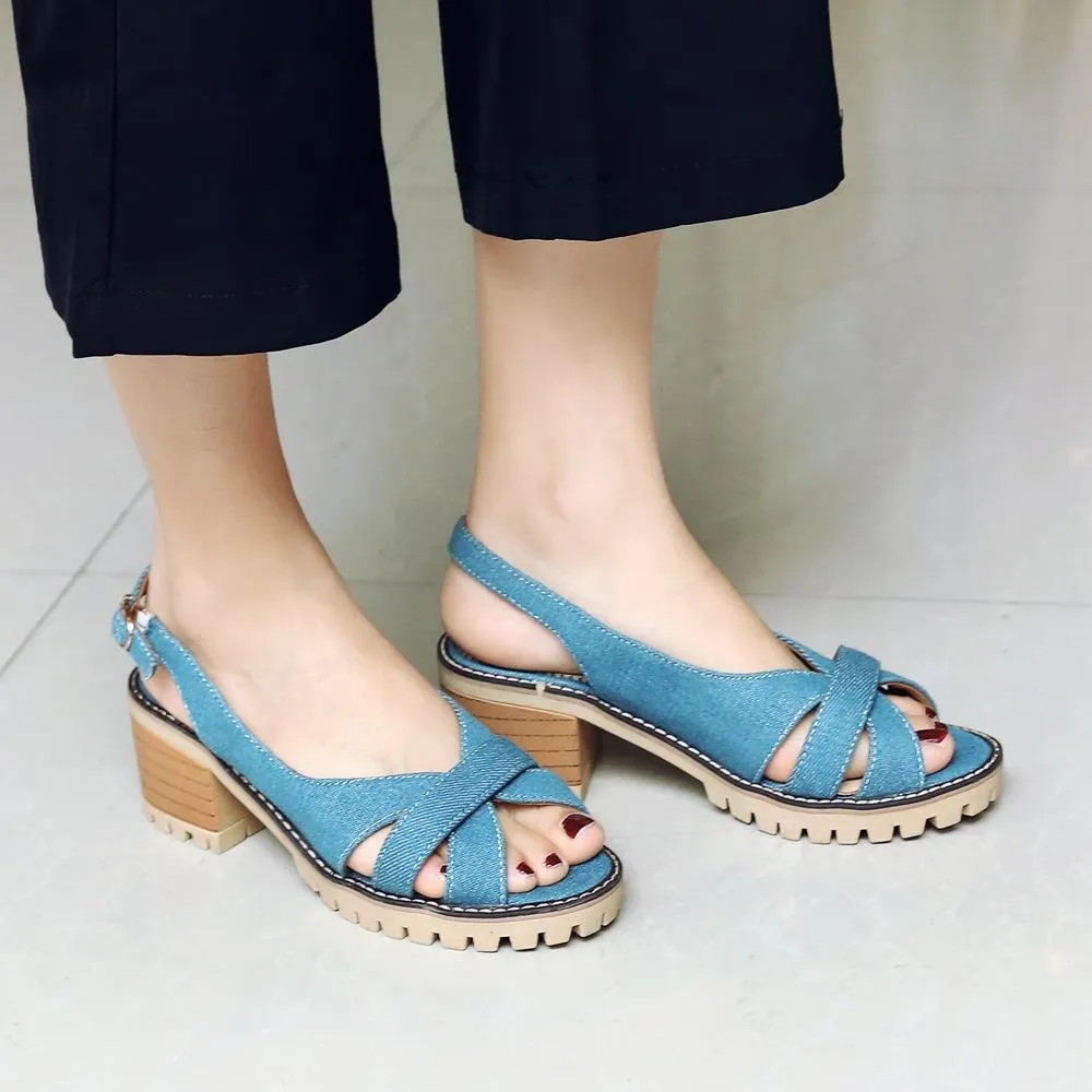 Casual Summer Fashion Fish Mouth Women's Heeled Sandals