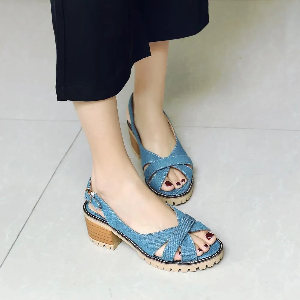 Casual Summer Fashion Fish Mouth Women's Heeled Sandals